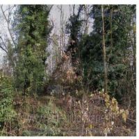 Terreno Agricolo Castagnole Monferrato [A4315661]