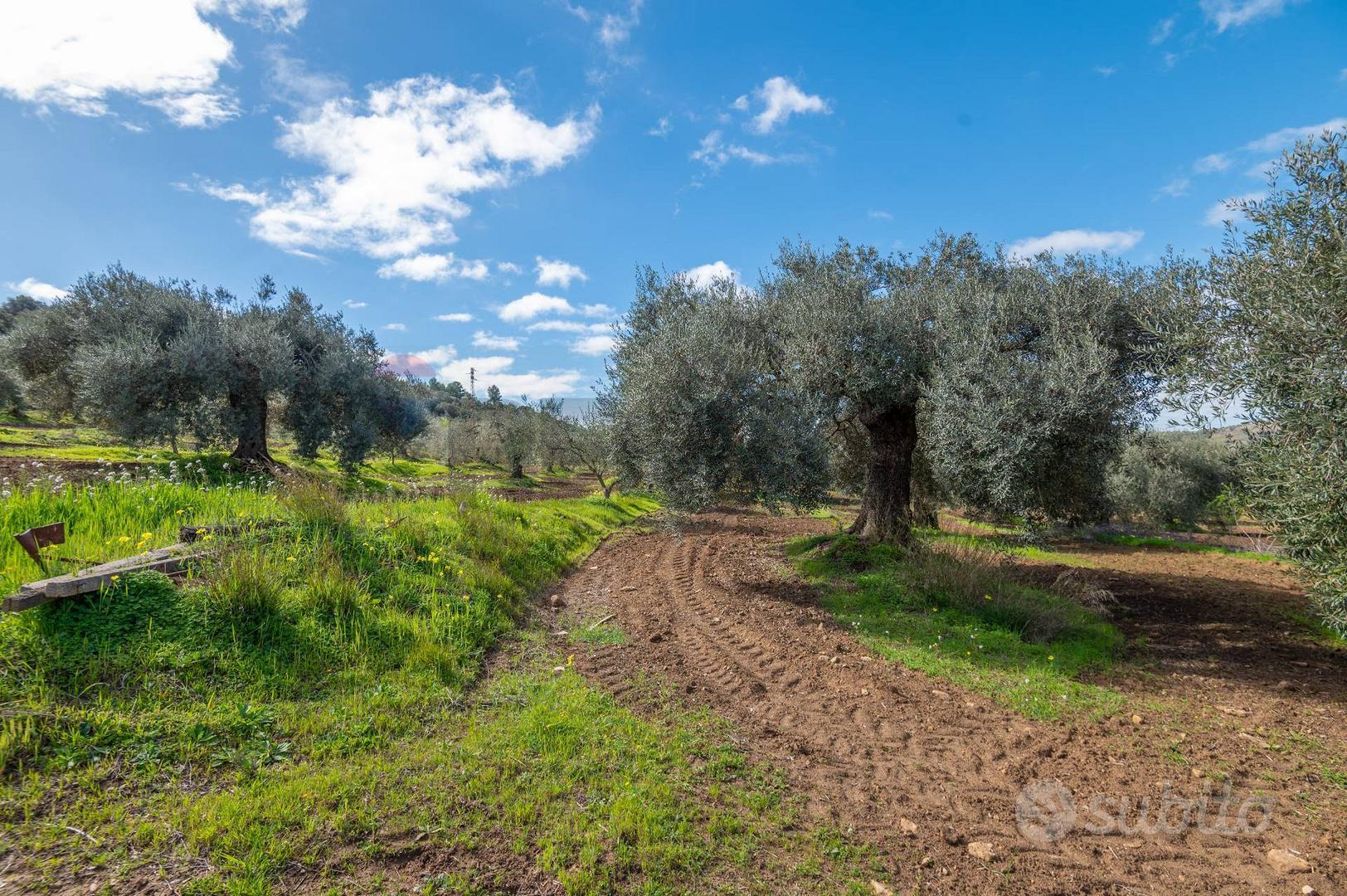 Terreno - Caltagirone - Altro