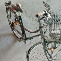 Bicicletta da donna
