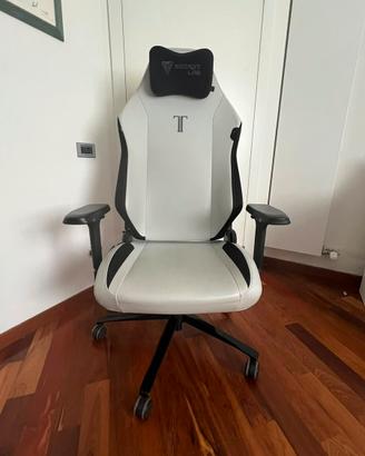 Secret lab titan evo Ash XL