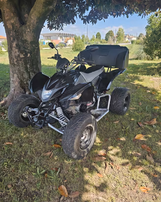 Goes 350 S (Aeon Cobra) QUAD