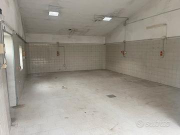 Capannone /Laboratorio