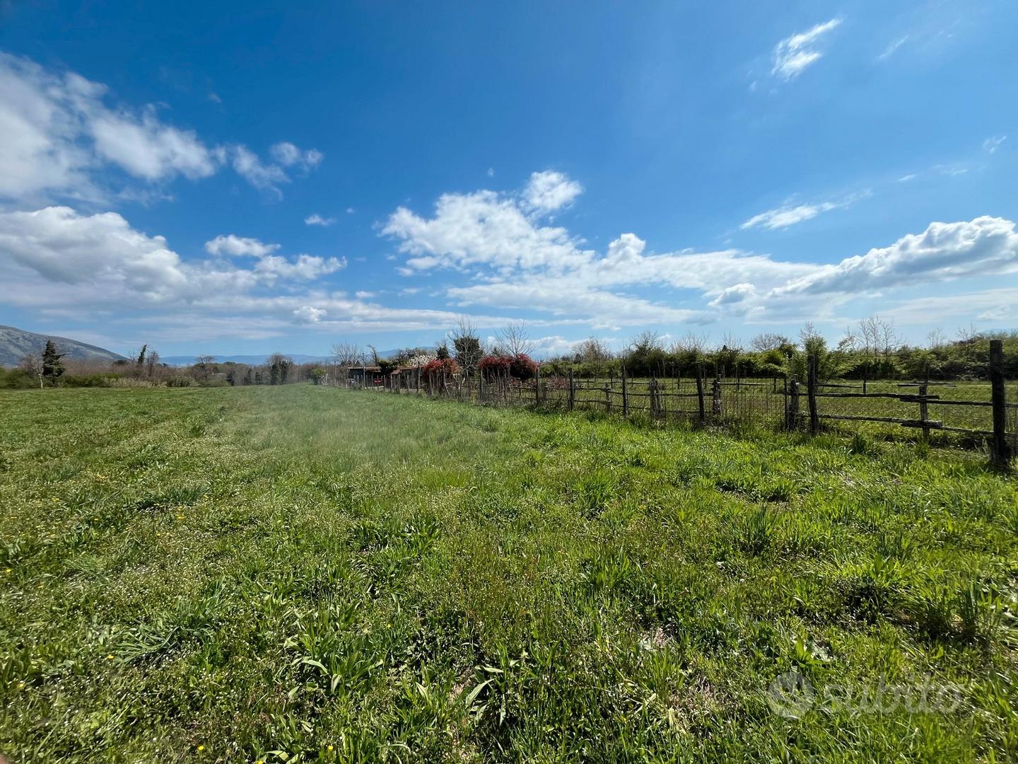 Valmontone: terreno agricolo pianeggiante - Vista 3
