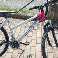 Bicicletta da donna