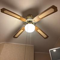 Pale da soffitto vintage