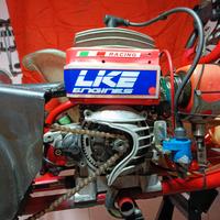 Motore Kart LKE R12 60cc completo PHBG 18 