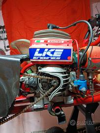 Motore Kart LKE R12 60cc completo PHBG 18 