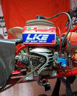 Motore Kart LKE R12 60cc completo PHBG 18 