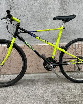 Bici mtb Bianchi Ragno Pholcus