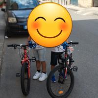 bicicletta mountain-bike 