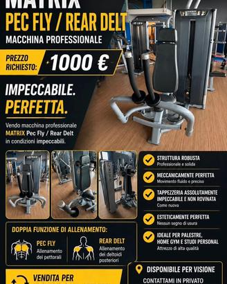 Pec fly rear delt matrix