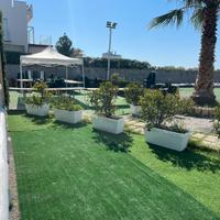 Attività ristorativa estiva