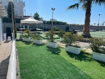 Attività ristorativa estiva