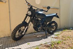 Tracker 250 Customized 