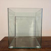 Acquario + accessori