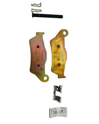 PASTIGLIE DUCATI MULTISTRADA FRENO POST CD 6132116