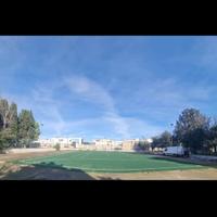 ROTOLI PRATO SINTETICO