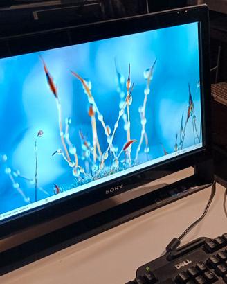 Computer nello schermo SONY VAIO Modello VPCJ1