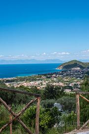 Casa vacanze "Il Vigneto"
