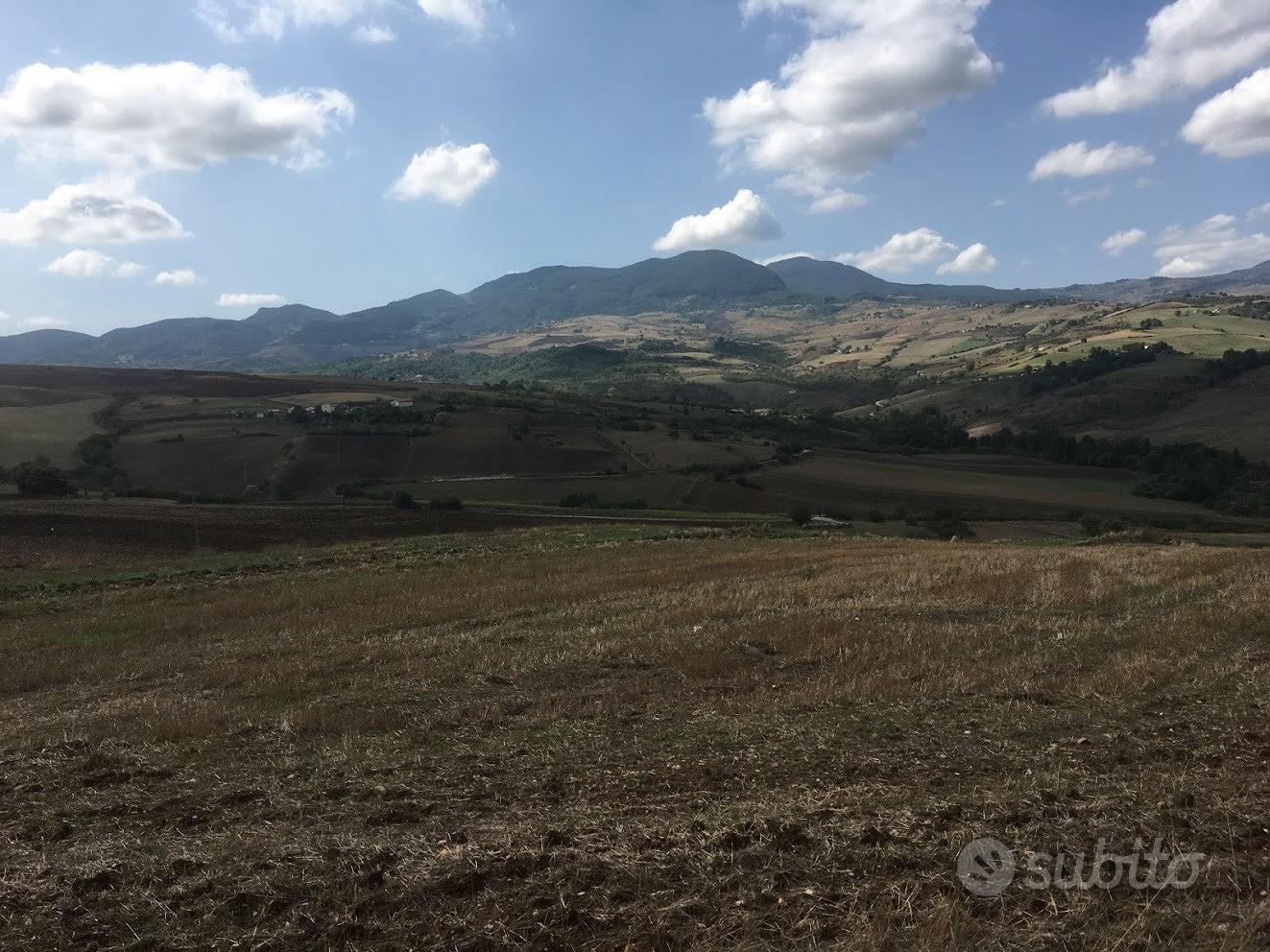 Proprietà agricola con fabbricato di nuova costruz - Vista 6