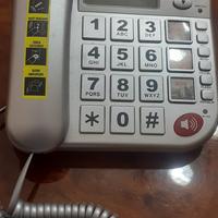 telefono fisso 
