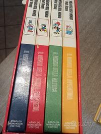 Il meraviglioso mondo di Walt Disney.