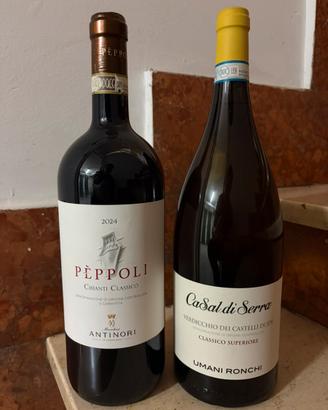 Due bottiglie di vino 1,5L
