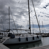 VEKTOR 36 vela