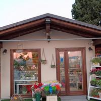 Attività di Piante e Fiori - Opportunitá unica