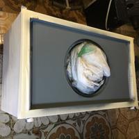 Box subwoofer  vuoto