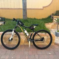 Bicicletta Coppi 29
