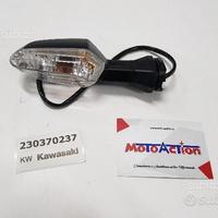 Lampeggiatore post sinistro Kawasaki Z1000