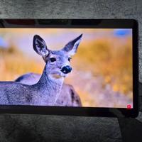 Samsung Tab S9 128GB - Come nuovo, Garanzia Amazon