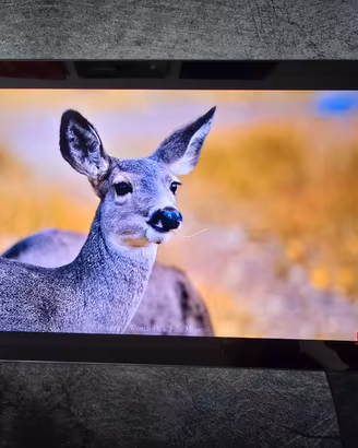 Samsung Tab S9 128GB - Come nuovo, Garanzia Amazon