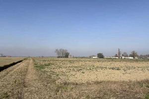 Immobile in asta di 109744 m² a Molinella