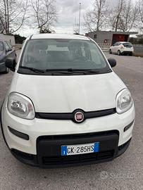 FIAT PANDA HYBRID 2022 UNICO PROPRIETARIO