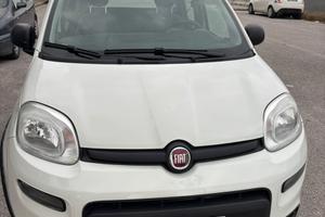 FIAT PANDA HYBRID 2022 UNICO PROPRIETARIO