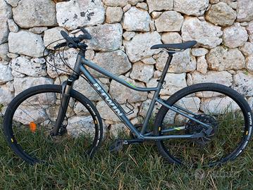 Bicicletta Da Trekking