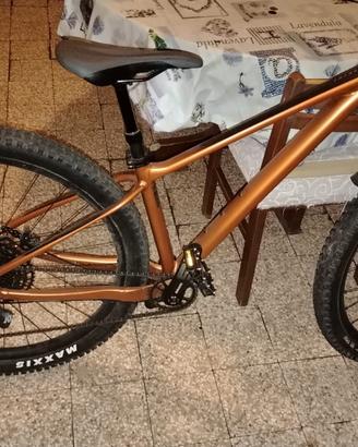 Giant Fathom 29 1 – Taglia S – MTB SRAM 12V