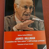 James Hillman Il cammino del fare anima e....