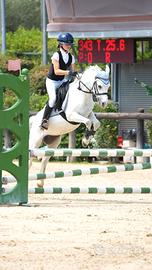 Pony welsh campione di Lombardia