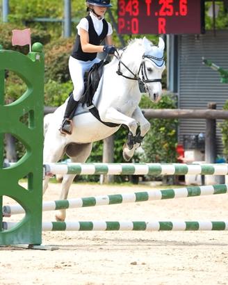 Pony welsh campione di Lombardia