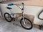 Immagine 1