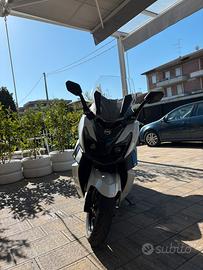 Cruisym300