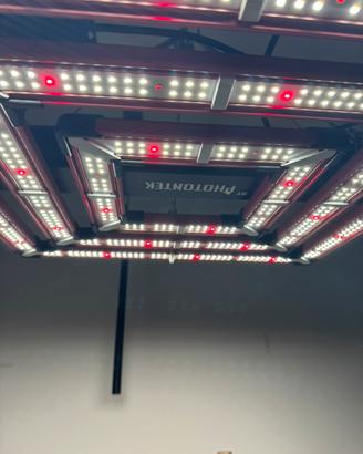 Lampada LED Coltivazione PhotonTek SQ300W Pro