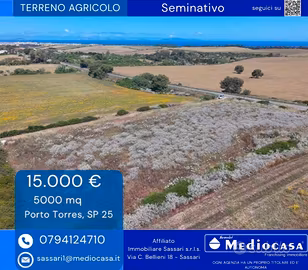 Terreno agricolo a due passi dal mare
