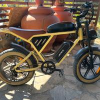 Bici elettrica E-Bike 750w legg descrizione