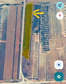 Terreno Agricolo in zona DOC