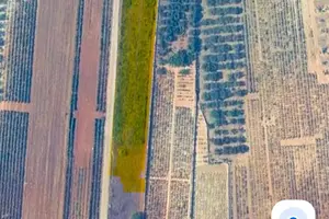 Terreno Agricolo in zona DOC