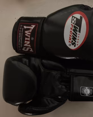 Guantoni da boxe / Muay thai neri Twin Special +
